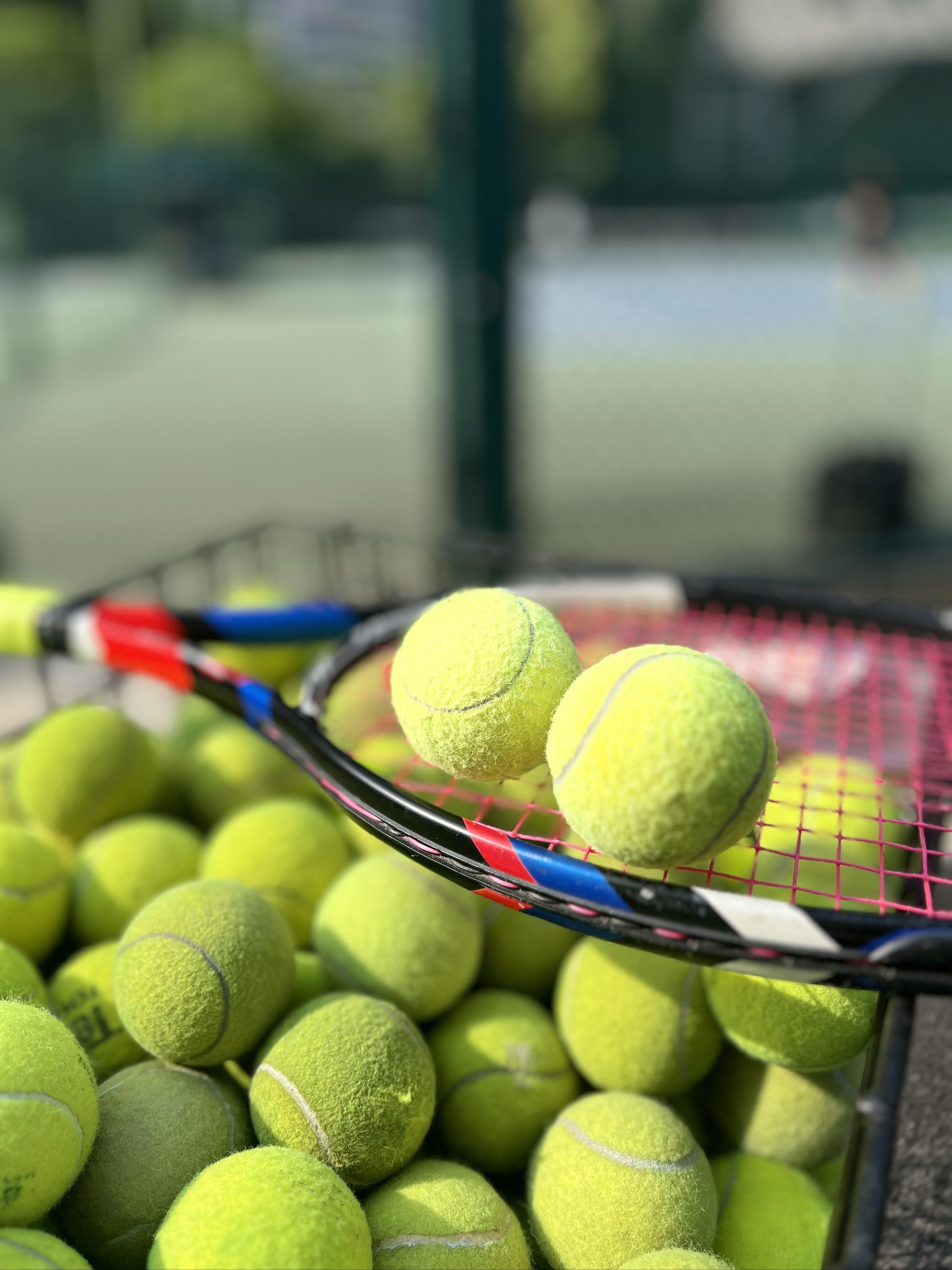 强制参与至 强制参与至