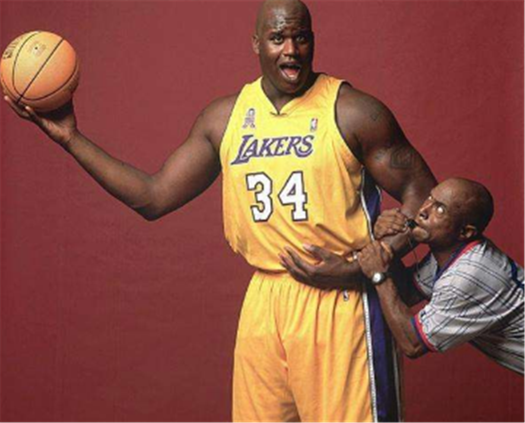 的综合贡献 的综合贡献